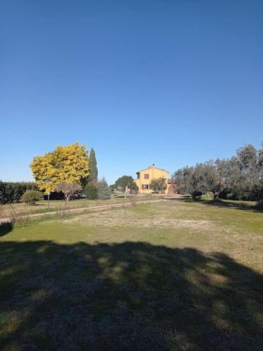 Villa La Casina Di Campagna Tra Cecina E Bibbona Exterior foto