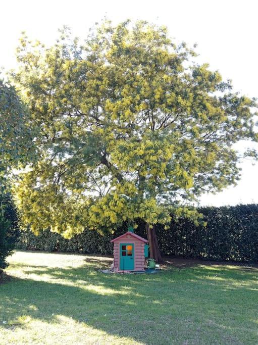 Villa La Casina Di Campagna Tra Cecina E Bibbona Exterior foto