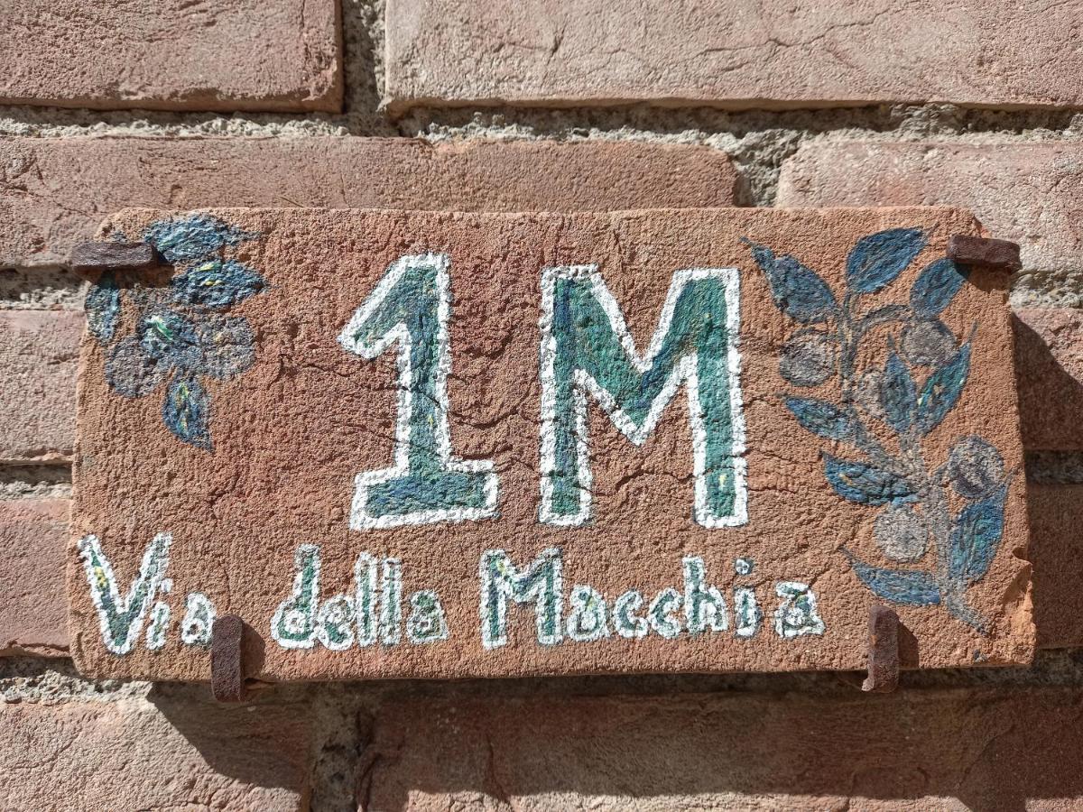 Villa La Casina Di Campagna Tra Cecina E Bibbona Exterior foto