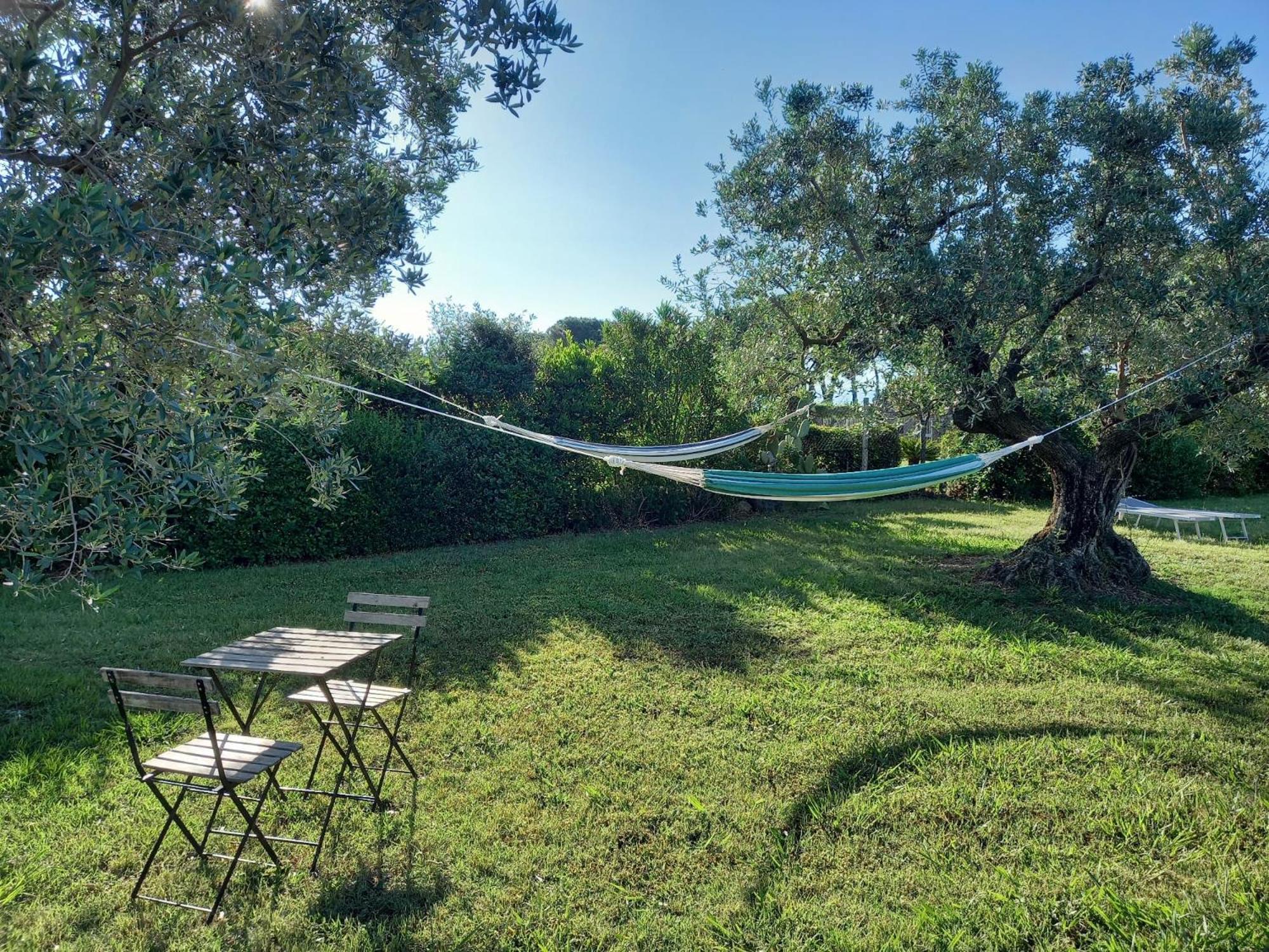 Villa La Casina Di Campagna Tra Cecina E Bibbona Exterior foto