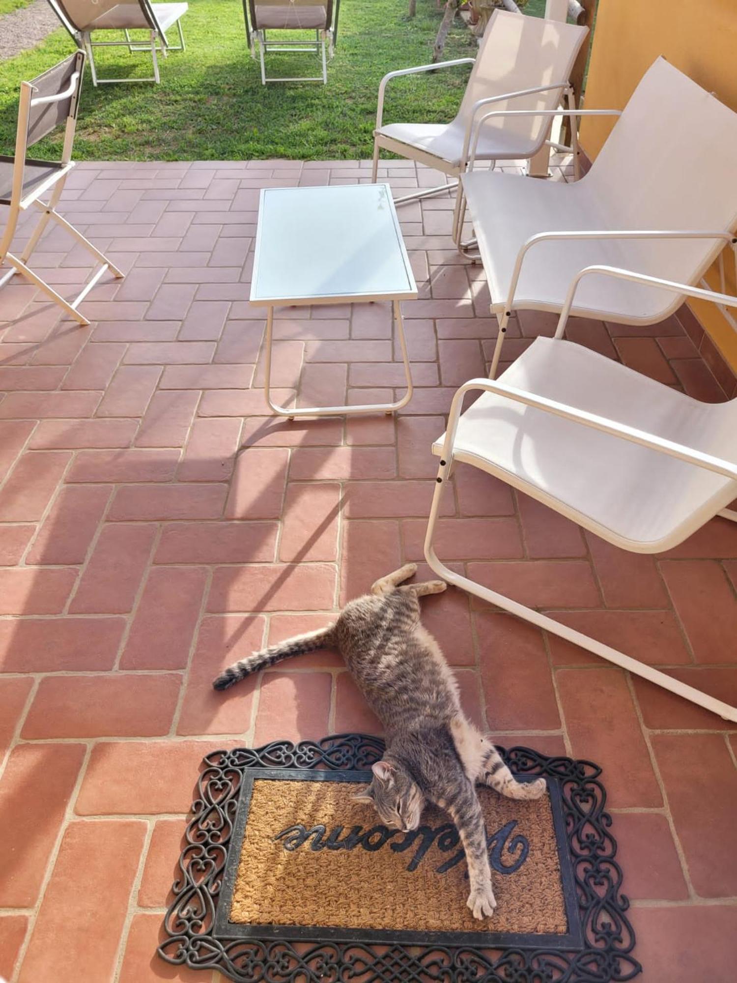 Villa La Casina Di Campagna Tra Cecina E Bibbona Exterior foto